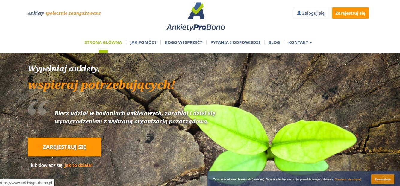 Strona WWW AnkietyProBono Screen Strony WWW AnkietyProBono