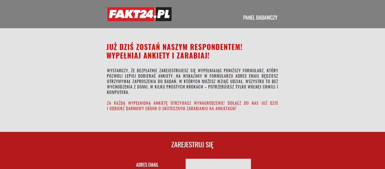 Strona WWW PanelFakt24.pl Screen Strony WWW PanelFakt24.pl