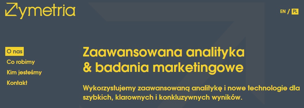 Strona WWW Zymetria.pl Screen Strony WWW Zymetria.pl
